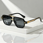 Polarized Double Bridge Sunglasses