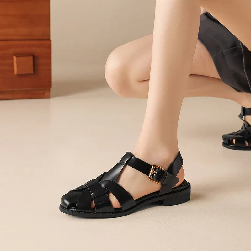 Low Heel Dress Shoes